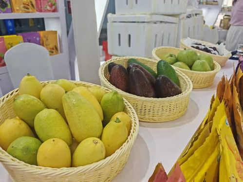 攀果亮相2025四川農博會 攀枝花館果蔬飄香迎客來