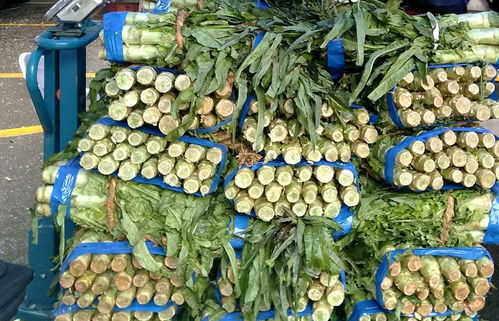 貴陽支持學校團餐運營企業直采直銷本省農產品，助力初級農業產業升級