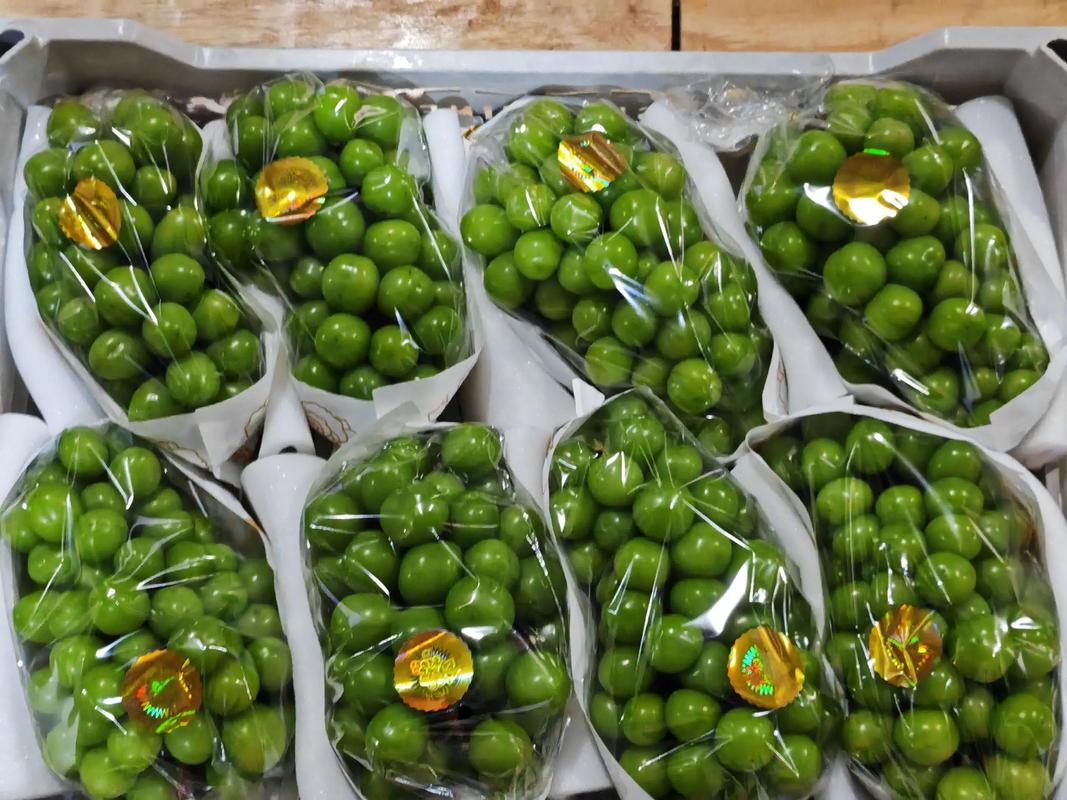 包裝袋都不夠大的大串大顆粒，總行了吧