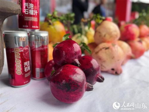 行進(jìn)中國(guó) 慶農(nóng)業(yè)豐收，享美好生活