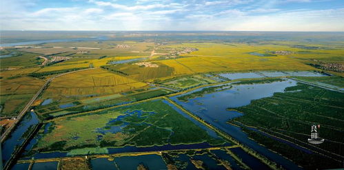 肇源大米 黑土精耕的玉粒瓊漿，香飄四海的北國(guó)饋贈(zèng)