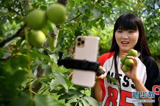 窺見(jiàn)未來(lái)農(nóng)產(chǎn)品發(fā)展五大趨勢(shì) 縣域?yàn)楹问瞧放平ㄔO(shè)主戰(zhàn)場(chǎng)